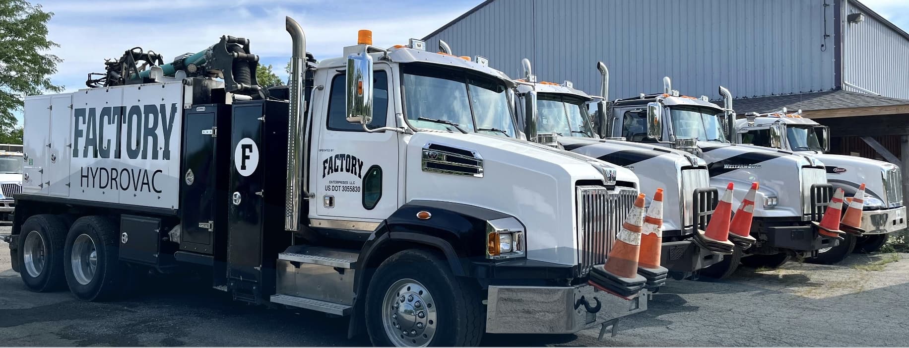 Illinois primary featured 1